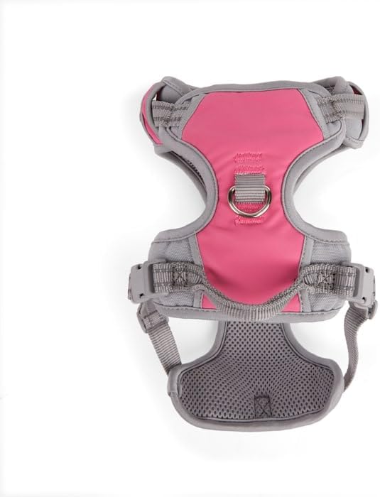 EveryYay by Petco Front Walking Reflective Dog Harness Pink XX-Large/3X-Large
