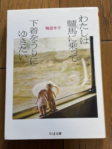 わたしは驢馬に乗って下着をうりにゆきたい 鴨居羊子 わたしは驢馬に乗って下着をうりにゆきたい 鴨居羊子
