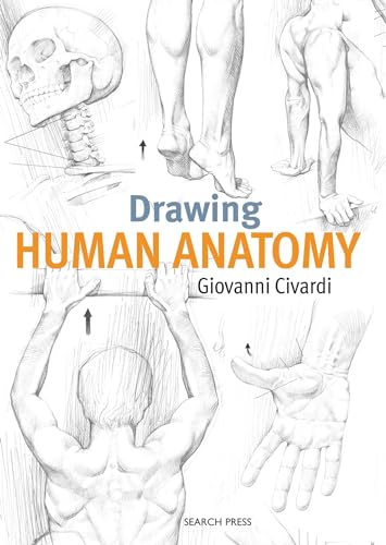 Drawing Human Anatomy