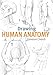 Drawing Human Anatomy