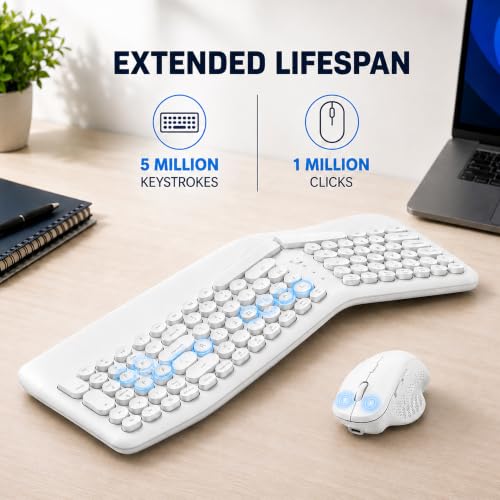 Image of ANT Master 80 Wireless Keyboard and Mouse Combo, Full-Size 101-Key Keyboard, 2.4G + Bluetooth, Rechargeable, 800 /1200 /1600 DPI 6D Mouse, USB Receiver, Windows /Linux, White