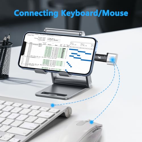 Image of Kinsound USB OTG (Black USB C to Lightning OTG)
