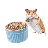 BESPORTBLE 2pcs Ceramic Pet Bowl Round Feeding Dish for Hamsters Rabbits and Animals Lightweight Easy to Color Pet Feeder for Wet and Dry Food