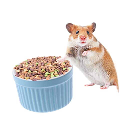 BESPORTBLE 2pcs Ceramic Pet Bowl Round Feeding Dish for Hamsters Rabbits and Animals Lightweight Easy to Color Pet Feeder for Wet and Dry Food