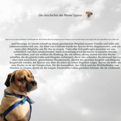 Spyrus Hasenohren ohne Fell Hunde Snack,Kaninchenohren ohne Fell,Naturprodukt für Hunde,Reich an Vitaminen & Mineralien|Snack für zwischendurch(200g)