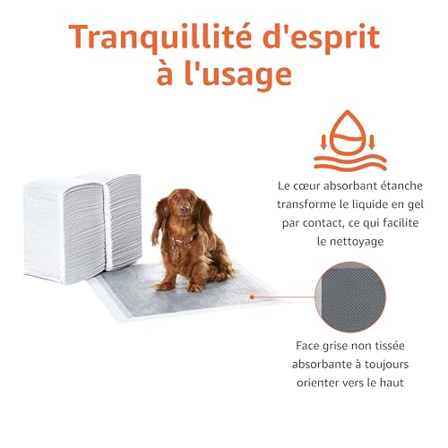 Protections déjections canines Amazon Basics alèse blanche chiot - 5