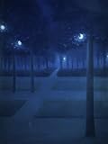 Night in the Parc Royal Brussels William Degouve de Nuncques (1867-1915/Belgian) Pastel Musee d'Orsay Paris Poster (45,72 x 60,96 cm)