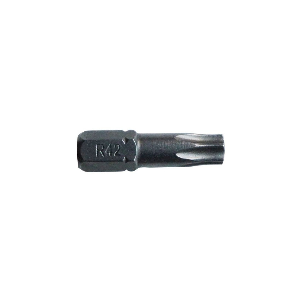 RISS 9550P002000 Torsion Bit