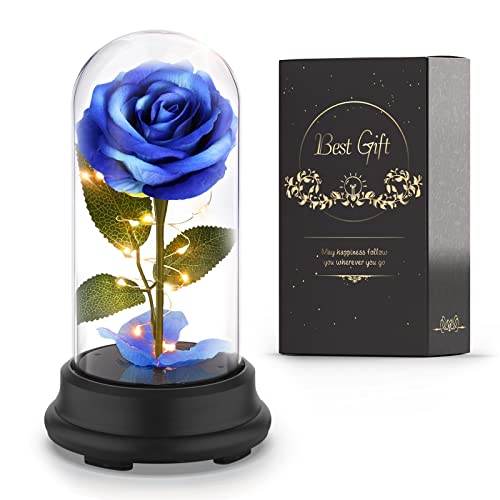 Deluxsa Valentines Flowers Gifts for Women,Valentine's Roses Gifts for Mom Girlfriend Wife,Colorful Rose in A Glass Dome Gifts for Valentine（Blue）