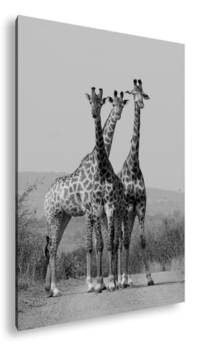 Girafes noir et blanc tableau salon 90x60 cm sur cadre en bois Deyoli