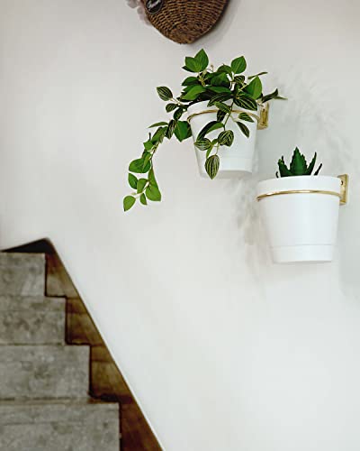 Macetas, Kitchen Imagen adicional