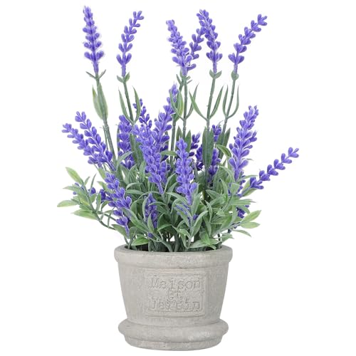 Veemoon Künstlicher Mini-Lavendeltopf, Künstliche Lavendelpflanzen Aus Kunststoff in Töpfen Für Hochzeit, Geburtstag, Zuhause, Büro, Küche,...