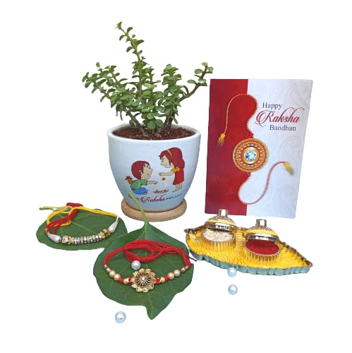Guuchuu COMBO OF STYLISH RAKHI WITH ROLI CHAWAL, GREETING CARD AND LIVE JADE PLANT (SET OF 4) (B0B6Z2LP14) Amazon Price History, Amazon Price Tracker