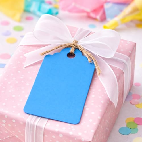 Image of CVANU 100pcs Premium Color Tag Blank Hanging with Pre-Punched Hole Tags for DIY Crafts, Gift Wrapping, Labelling & Writable Decorative Tags for All Occasions (2.85in X 1.7in) Light Blue1