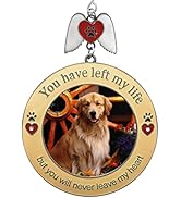Pet Memorial Christmas Photo Ornament - You Have Left My Life But Will Never Leave My Heart - Sym...
