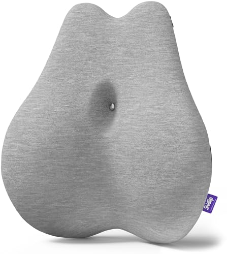 Shidiip Ergonomic Lumbar Support Pillow - Patented Multi-Region Back Support for Back Pain Relief - Extra Dense Memory Foam Back Support Pillow with Strap/Bag for Office Chair, Car, Plane - Grey