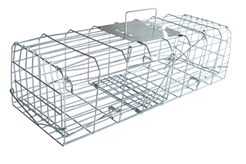 Squirrel Trap Cage | Pest Control | Live Rodents | No Chemicals or Poison