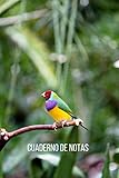 diamante gould portador de azul  Cuaderno de notas Diamante de gould: Diario de composición con líneas. Cuaderno de Diamante de gould 100 páginas.