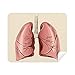 Organ Lung Human Illustration Cleaning Cloth Screen Cleaner 2pcs Suede Fabric