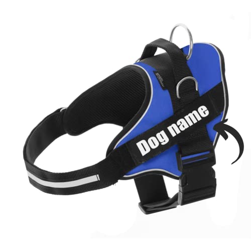 SUPER DOGGY Pettorina Cane Personalizzata con Nome – Antitrazione, Riflettente e Regolabile – Include 2 Targhette Velcro - Taglia Piccola, Media e Grande (Blu, XS 3-7KG)