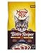 Meow Mix Bistro Recipes Seared Tuna Flavor Dry Cat Food, 3 lb
