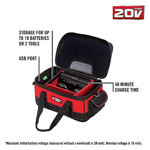 PORTERCABLE 20V MAX* Lithium Battery Charger, Dual Port with 2