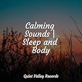 Quiet Valley Records