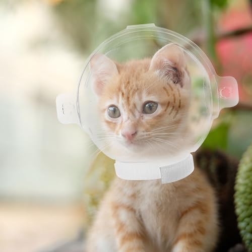Burbuja de proteccion para gatos en consultas veterinarias y peluqueria 7