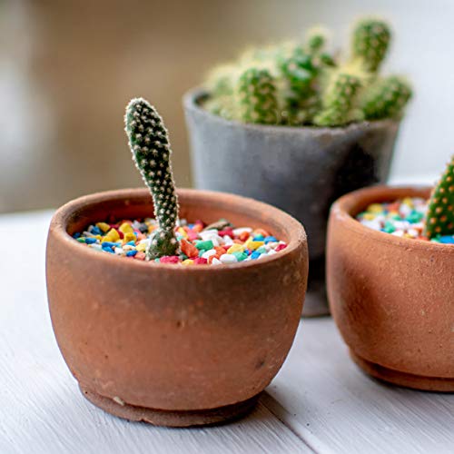 Mini Rainbow Confetti Gravel Pebbles Mix Colored Stones Aquarium Gravel Decorative Colored Garden Sand Succulent Cactus Bonsai Gritty Mix Rocks for Top Dressing, Landscaping, Home Decor 2.2 lbs