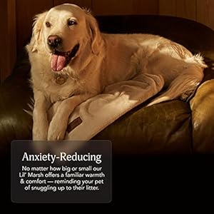 UnHide-Lil-Pet-Marsh-Faux-Fur-Pet-Blanket-Extra-Soft-Lightweight-Durable-Pet-Blanket-Machine-Washable-for-Bed-Cover-Couch-Protection-and-Crate-Comfort-Beige-Bear-34-x-44 - Cucciolini Doodles   UnHide-Lil-Pet-Marsh-Faux-Fur-Pet-Blanket-Extra-Soft-Lightweight-Durable-Pet-Blanket-Machine-Washable-for-Bed-Cover-Couch-Protection-and-Crate-Comfort-Beige-Bear-34-x-44