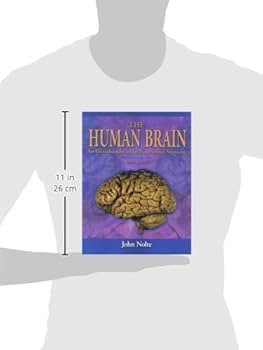 洋書 Duvernoy The Human Brain Second edition The Human Brain: Surface, Three-Dimensional 2nd Ed by Henri