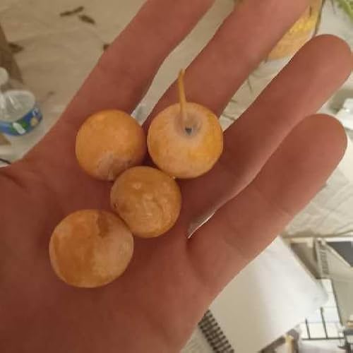 Don&rsquo;t be a Stranger