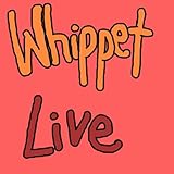 Whippet