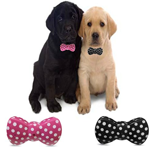 BowWow Classic Design No Bark Dog Collar (Small Dog 15lbs to 150lbs) Anti Bark Control Collar Solution and Warning Beep System. Black w/White Pokadots