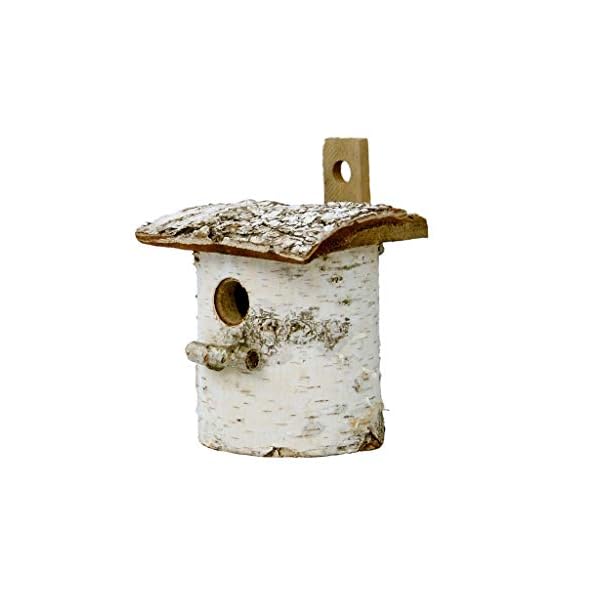 Damian-Wiklina Vogelhaus, Nistkasten, Birkennesthöhle 16 x 12 cm (32mm) – Bild 3