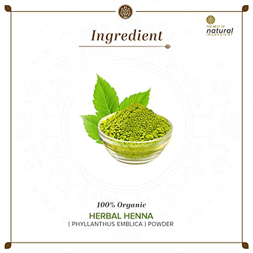 Khadi Natural Herbal Henna Powder Pack | Herbal Hair Color | 100% Natural | Colours and conditions hair | Repair hair damage and breakage |... - Image 7