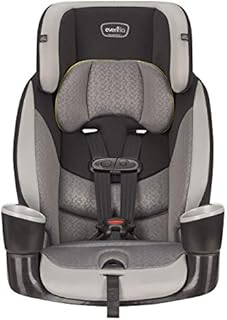 Evenflo Maestro Sport Harness Booster Car Seat, Crestone Peaks
