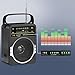 JEUJUG Portable AM FM Radio, Bluetooth 5.0 Radios 5 Watts Loud Speaker,FM Radio Built-in Rechargeable Battery/DC D*4 Cell Battery Operated & AC Power Plug in Wall Black