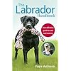 Labrador Handbook: Definitive Guide to Care and Training