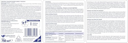 Substral Celaflor Pilzfrei Saprol Rosen AF, 750ml Sprühflasche - anwendungsfertiges Spray gegen Pilzkrankeiten an Rosen