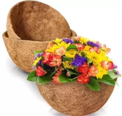 MUDDSTYLES Coco Coir 8 Inches Plant Container Wall Hanging Basket With Chain And Hook Indoor Outdoor Wall Hanging Gardning Planter Set (Pack Of 6),Black