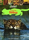  La vie des félins