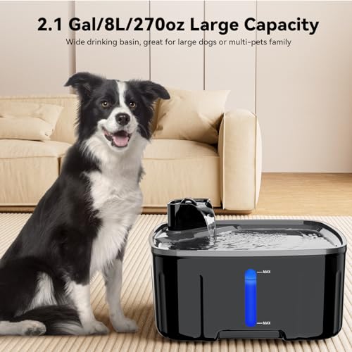 Kittyspout Trinkbrunnen für Hunde 8 L/ 270 oz, Große Automatischer Hundebrunnen mit Sichtfenster, Ultra-Stiller Pumpe, 4-Lagiger Aktivkohlefilter Hält das Wasser Sauber, BPA-freie, Schwarz