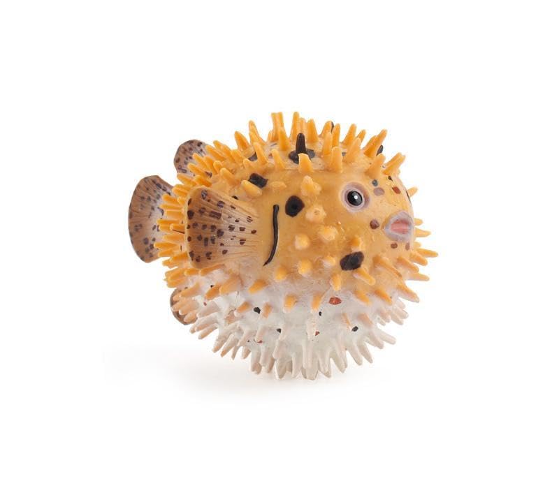 Amazon.co.jp: [猫神山] ハリセンボン 針千本 海のサカナ 磯