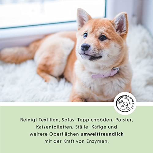 Annimally Enzymreiniger Spray 750ml gegen Katzenurin & Hundeurin XXL Packung - Tier Geruchsentferner gegen Urin Geruch - Enzym Flecken- und Geruchsentferner