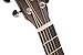 Cort EARTHGO-OPBB Earth Go HyVibe H2 Acoustic Electric Guitar Open Pore Brown Burst w/Bag
