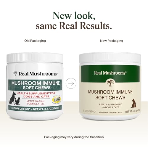 Mushroom Blend For Dogs With Cancer