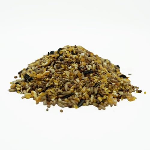 Weterton Feeds No Wheat Wild Bird Seed, 20kg | Premium Wheat-Free, High Energy UK Grown Bird Food for Garden Birds