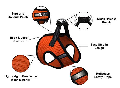 Dogline Boston Step In Mesh Dog Harness With Service Dog Patch No Choke Pet Vest Soft Gentle Padded Chest Halter For Puppies Small Medium And Large Dogs 12 To 14 Inches Girth Orange #TOP2