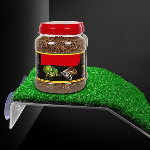 Plate-Forme de Tortue Terrestre Durable Multifonctionnelle pour Reptile
